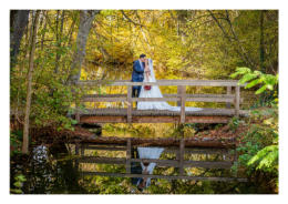 Hochzeitsfotografie Appenheim | Fotograf Thomas Fuhrmann